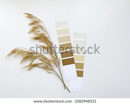 Concept: nature inspires colors. Samples of paints with dried grass on a white background. Neutral beige and gray color palette for decorating and design. Natural pastel colors for home renovation