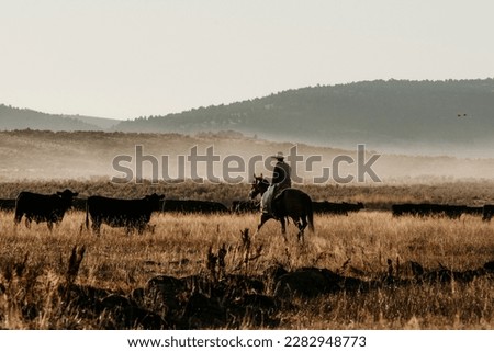 
Western Cattle Ranch Photography Idaho  Royalty-Free Stock Photo #2282948773