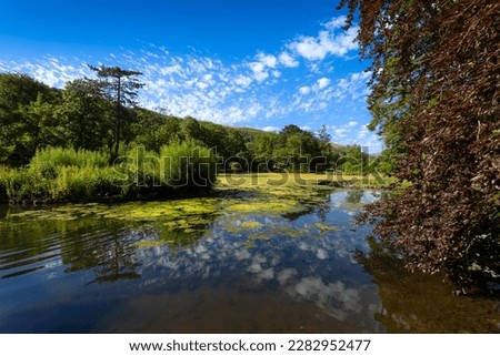 The lake at Craig y Nos Country park in the Swansea Valley, South Wales UK.
 Royalty-Free Stock Photo #2282952477