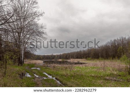 View of the lake and trees on a cloudy rainy day in early spring. Spring flood, young grass, reeds by the pond and the reflection of trees in the water.