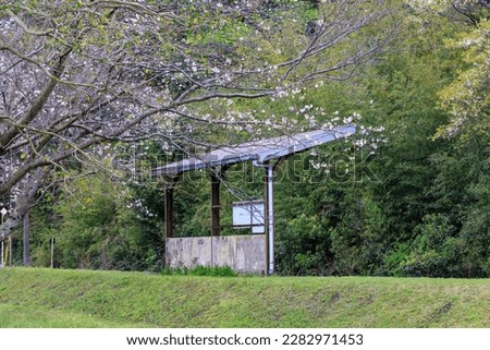 Unmanned station platform waiting area and cherry blossoms