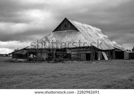 Black and white picture of a collapsing barn in the Skagit Valley of Washington on a cloudy day in spring