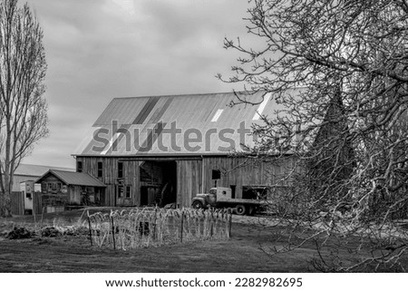 Black and white picture of a collapsing barn in the Skagit Valley of Washington on a cloudy day in spring