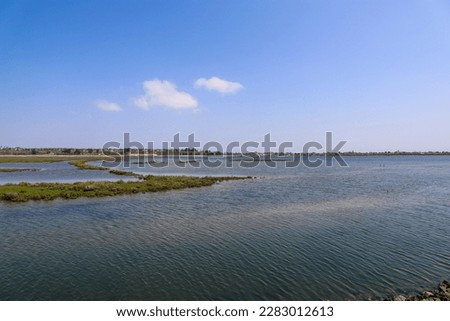 vast miles of lush green marsh surrounded by deep blue ocean water with a gorgeous blue sky at Bolsa Chica Ecological Reserve in Huntington Beach California USA