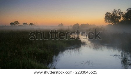 Okavango Delta Landscape - Fog over the water - Botswana