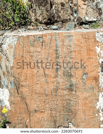Panorama rock drawing of ancient people petroglyph animal deer with and people hunters on bright stones in the mountains in Siberia in Altai.