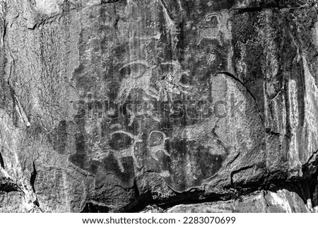Rock drawing of ancient people of different animal deer with antlers on a stone in the Altai mountains in Siberia on light. Black and white photo.