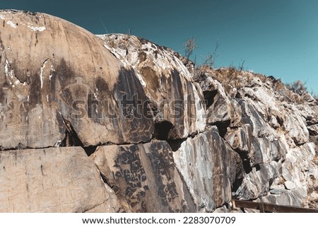 Rock drawing of ancient people petroglyph animal cows and deer with horns and strange people warriors on stones in the Altai mountains in summer under the sky.
