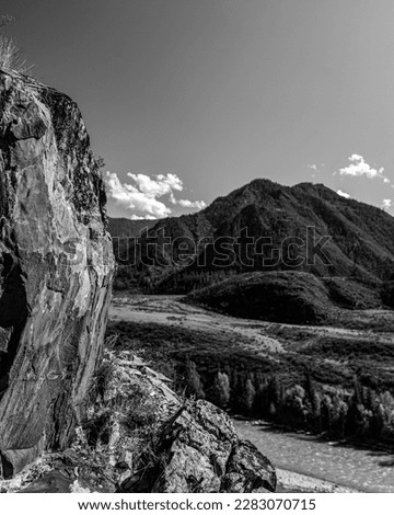 Rock drawing petroglyphs of ancient people animal deer on the stones behind the panorama of the mountains and the Altai river in a bright day. Black and white photo.