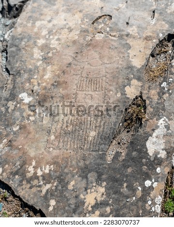 Petroglyphs rock drawings of ancient people of an unknown spaceship on stones in the Altai mountains in Siberia during the day.
