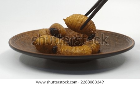 Fried palm tree weevil larvae (Rhynchophorus ferrugineus, Curculionidae) is a great source of protein and very delicious.                               