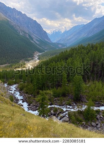 Spruce forest in the mountains against the backdrop of a panorama of mountains with glaciers under the clouds with the confluence of the Karakabak and Maashey rivers in the Altai valley in Russia .
