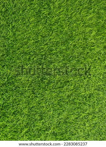 top view of green grass background of the garden, the picture used for making green backdrop, football field, golf course lawn, green grass pattern texture background