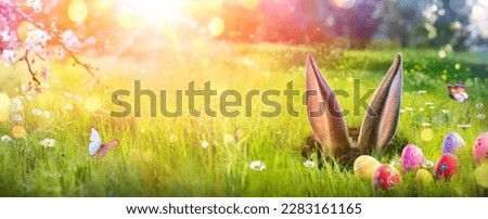 Easter - Ears Bunny Hidden In Hole On Field Grass With Eggs And Abstract Defocused Lights