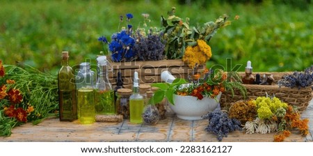 Medicinal herbs and natural tinctures. Selective focus. Nature.