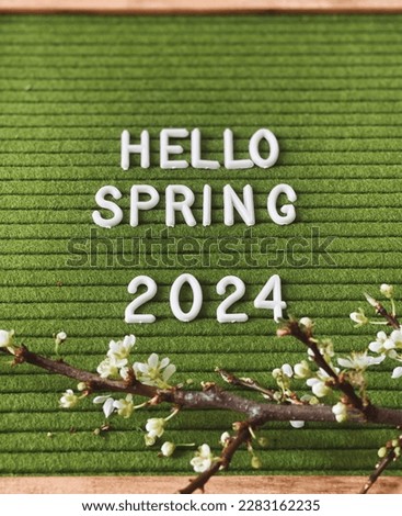 Hello spring 2024. 2024 spring flatly 
