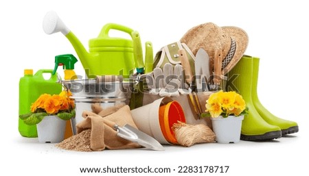 Spring time blooms, pots colorful primroses and vase of daisies, green rubber boots and watering can. Gardening tools, trowel, bucket, seed and spray bottles of pesticides isolated on white background Royalty-Free Stock Photo #2283178717