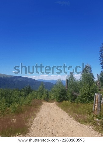 Country road, forest road, mountain hiking, forest, beautiful summer landscape