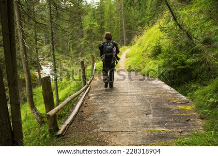 Man hiking in the forest on the bridge
