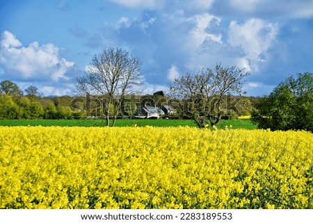 view of springlike landscape in Brittany
