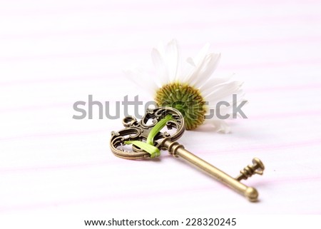 Antique key and natural chamomile on white background