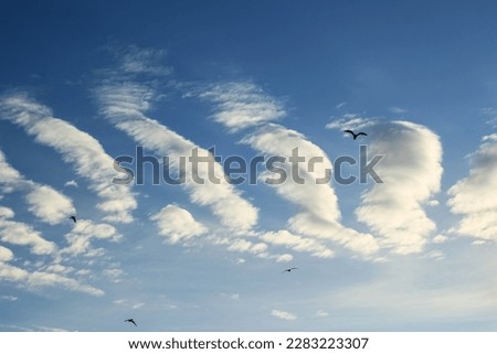 An unusual cloud formation on a summer day. birds in the sky Royalty-Free Stock Photo #2283223307