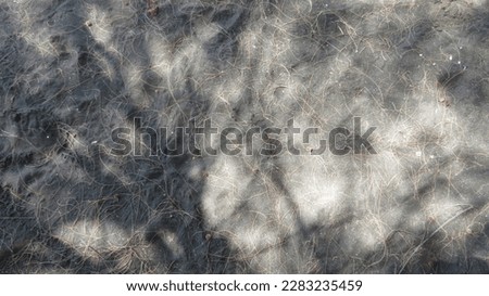 blur picture of beach sand with some sunlight and dried leaf and flower