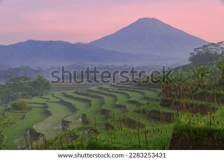 Terraced rice field with a huge mountain and sunrise sky. Beautiful rural landscape of tropical agricultural field with mountain