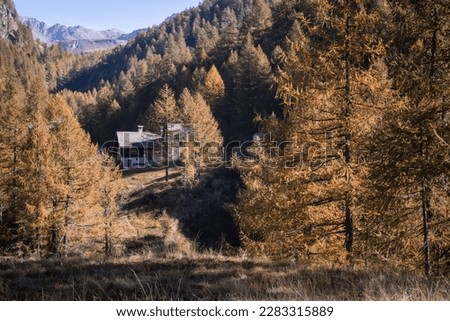 A small mountain cottage is hidden inside the forest of Alpe Devero, Northern Italy