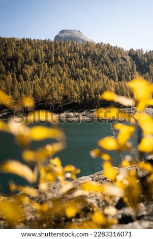 Scenic spot above the shore of Lake Devero and the forest, during a sunny autumnal day