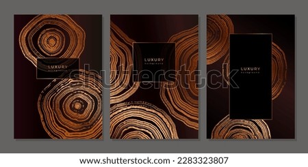 Set of luxury golden backgrounds with wood annual rings texture. Template with shiny tree ring pattern. Stamp of tree trunk in section. Wooden concentric circles. Black and bronze gold background 