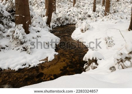 River in the forest, national park Bohemia Switzerland in winter Royalty-Free Stock Photo #2283324857