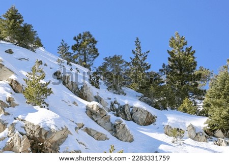 View of a snow covered slope on the San Bernardino mountains in Southern California USA.