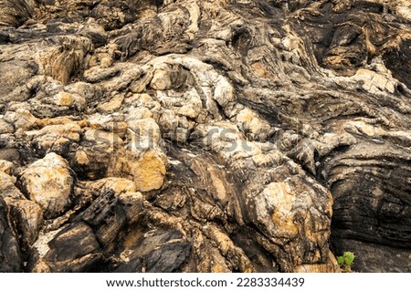The background is the texture of a rocky sea stone. Tropical photography for tourism, design and advertising