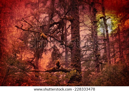 Rain Forest trunks at sunset. Photo in retro style - with paper texture. Aged textured image in retro style       