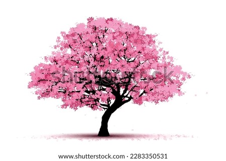 cherry blossom tree  isolated on white backdrop. Royalty-Free Stock Photo #2283350531
