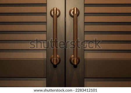 Brown and gold hinged doors with handles. Design and decor of interiors. Front view. Close-up. Royalty-Free Stock Photo #2283412101