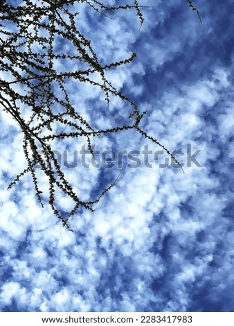 Beautiful white clouds and blue sky