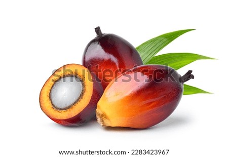 Palm oil nuts with cut in half and leaves  isolate on white background. Clipping path. Royalty-Free Stock Photo #2283423967