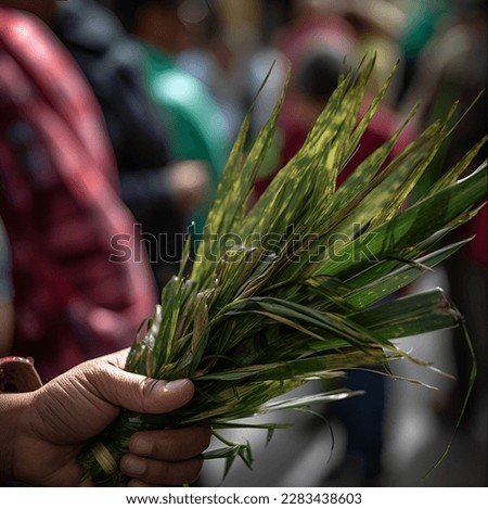 a picture of palm sunday