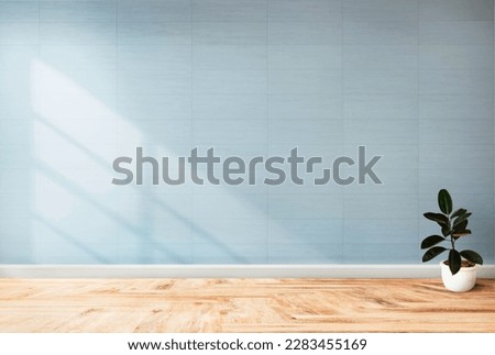 plant against a blue wall background with copy space

 Royalty-Free Stock Photo #2283455169