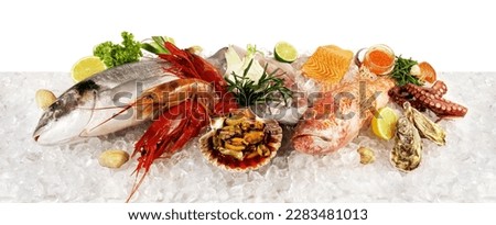 Fish and Sea Food on Ice with Sea Weed, Caviar, Mussels, Oysters and Scallop isolated on white Background - Side View Banner
