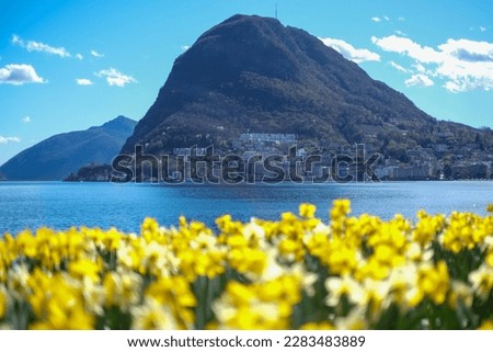 The view from Ciani Park (Parco Ciani), in Lugano, Ticino, Switzerland, over Lake Lugano to Paradiso. Spring daffodils in the foreground. Royalty-Free Stock Photo #2283483889