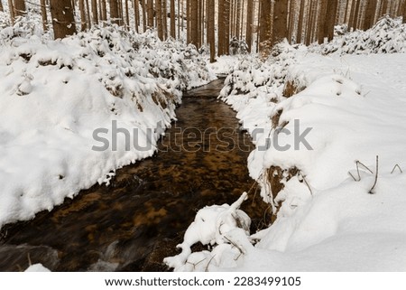 Stream in forest, winter landscape photo