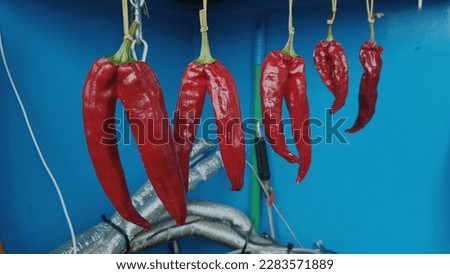 Close up of a red color 'Chili peppers' dry fruit against a bright nature background.