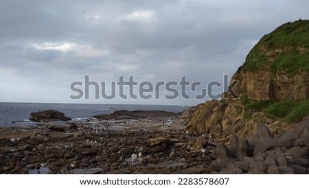 The view of the wave-cut platform on the coast in Badouzi in Keelung in Taiwan Royalty-Free Stock Photo #2283578607
