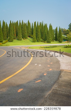 Pedestrian Sign / Road signs - painted sign on asphalt for pedestrian lane