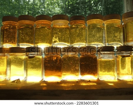 Maple syrup samples backlit in window of sugar shack Royalty-Free Stock Photo #2283601301