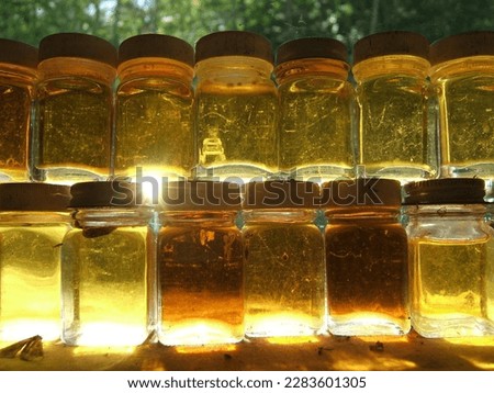 Maple syrup samples backlit in window of sugar shack Royalty-Free Stock Photo #2283601305