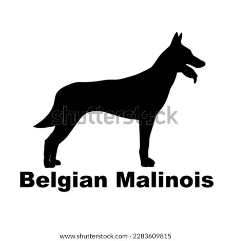  belgian malinois dog silhouette dog breeds Royalty-Free Stock Photo #2283609815